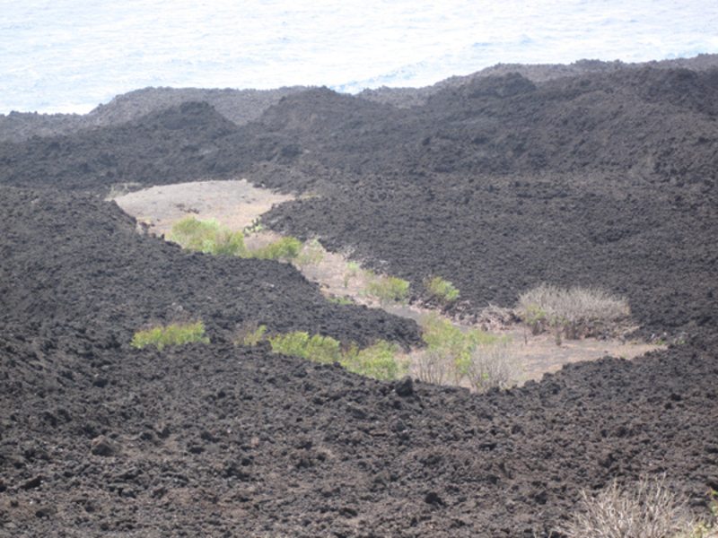 Lava 
