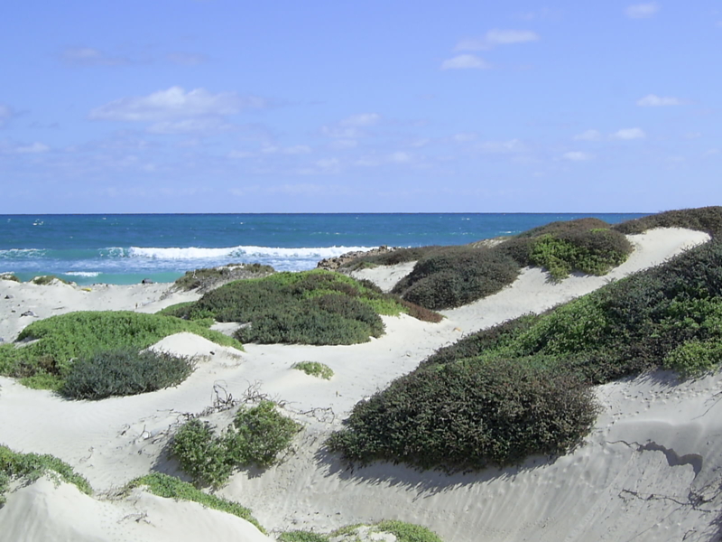 Praia Real