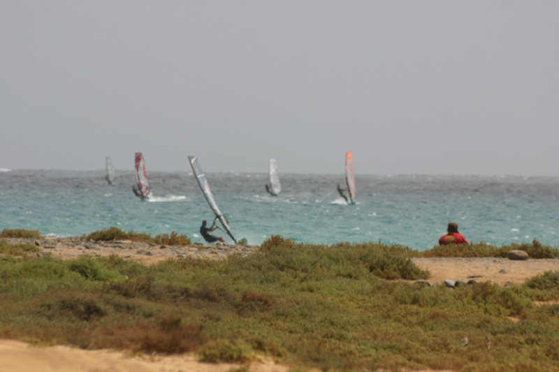 Windsurf