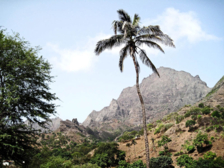 Pico da Antónia