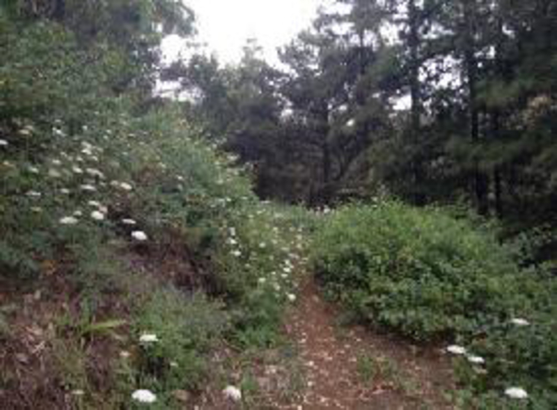 Parque Natural de Monte Gordo