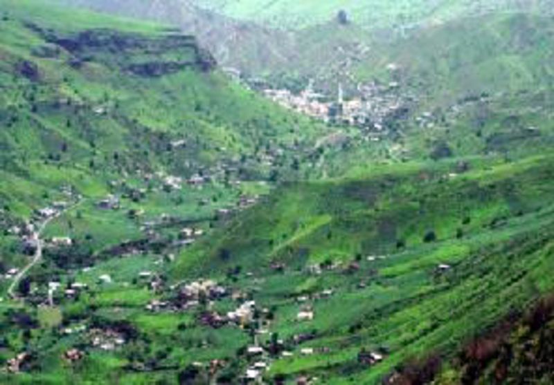 Vale de Ribeira Brava