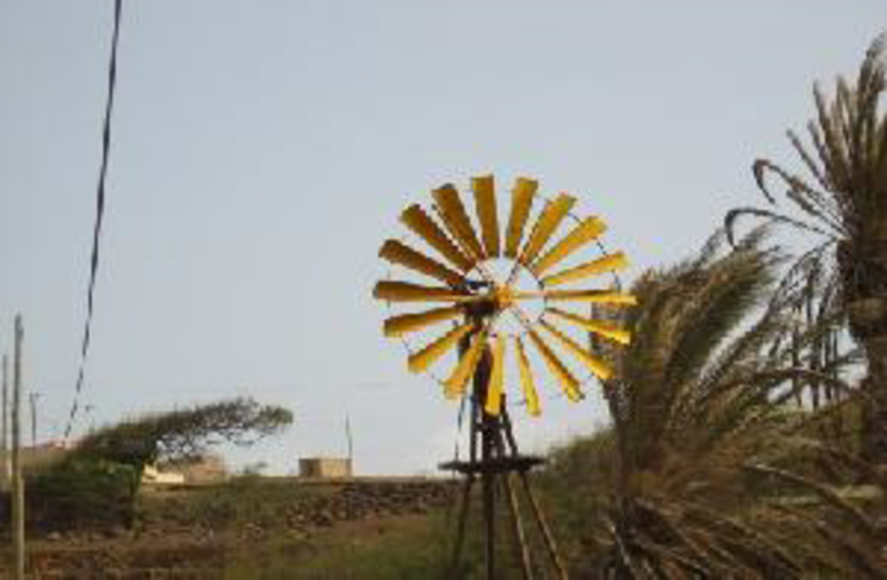 Lameirão